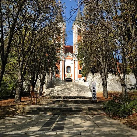 Komfort Platan