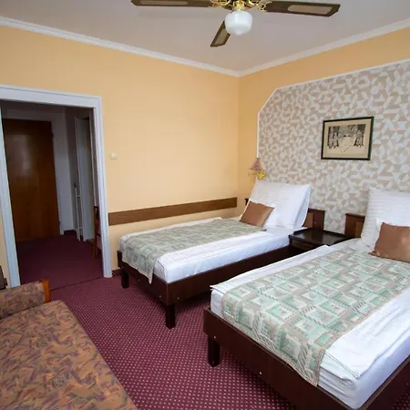 Komfort Platan 3* Harkány