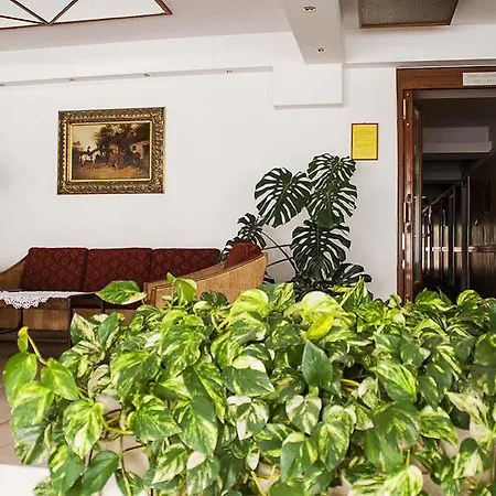 Komfort Platan 3* Harkány
